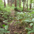 二重横堀(残念ながら藪って写真では良く解らず)