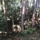 主郭を囲む深い見事な空堀