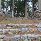 主郭虎口