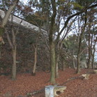 東側のなかなかの高石垣
