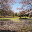 ヴぉ～くらは～、きっと～まぁってる～♪
