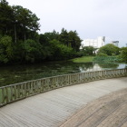 南郷公園の水堀