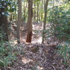 整備地域から外れるともっとリアルな遺構があった