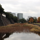 西桔橋から見た蓮池堀