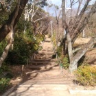 小牧山城大手道