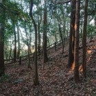 2郭北側の土塁