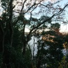 城址より古利根沼を望む