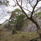 本丸に向かうと
