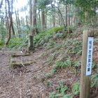 松平右京亮の墓