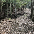 西側曲輪群背後の竪堀と土橋。