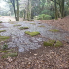 建物の礎石跡