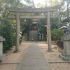 岡太神社の石鳥居から望む本殿。