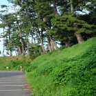 本丸土塁郭内