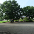 公園内