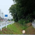 道路沿いの横堀