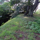 本丸土塁上