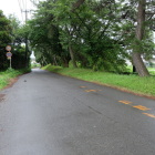 道路沿いの土塁