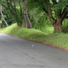 道路沿いの土塁