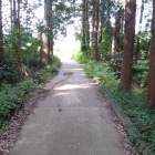 三ノ郭～四ノ郭間の土橋・堀・土塁のセット