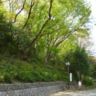 志村公園下・これも怪しい地形