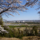 滝山城から多摩川の景色と桜