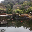 御屋敷の庭。錦鯉が泳いでます。バックには姫山。
