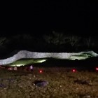 外郭の石垣