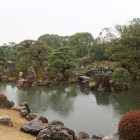 二の丸庭園。雨の庭園も風情がありますね