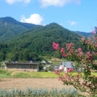 前松寺から城山