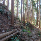 主郭下の帯郭より切岸を見る