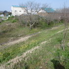 土手の向こう側に遺構っぽい地形