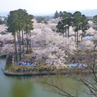 三重櫓から見た花見の図