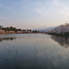 広大な西堀（北から）。奥は妙高山。