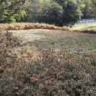 能徳寺裏手の公園。