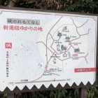 回遊マップ