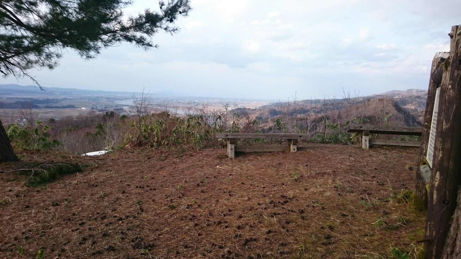 稗生城本丸全景