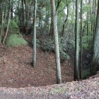 本丸土橋脇空堀