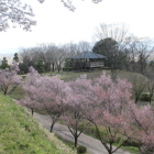 南曲輪と東屋