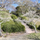 西の丸登り口