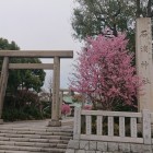 石浜神社の鳥居