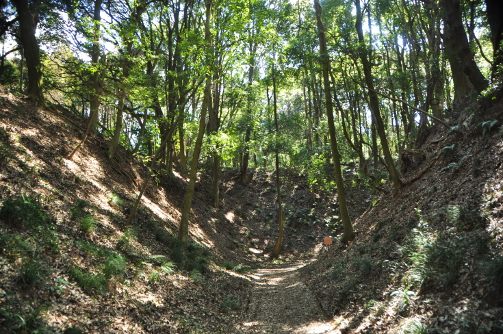 [小幡城] 城びと