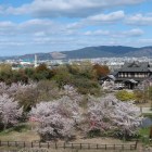 天守台からの眺望。中央やや左が若草山。その左側には東大寺大仏殿も