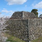 城址散策道からの本丸天守台と桜