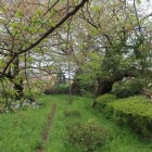 土塁上から見た四谷見附の石垣