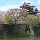 五軒屋敷堀越しの追手東隅櫓としだれ糸桜