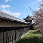 追手東隅櫓から続く多聞櫓と桜