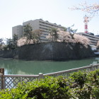 福井神社前から見た水堀と石垣