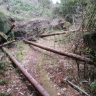 前年の台風や悪天候の爪痕が残る登山道