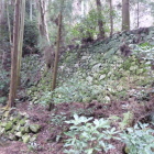 池の脇にも高石垣