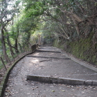 上山城への道は歩きやすいです